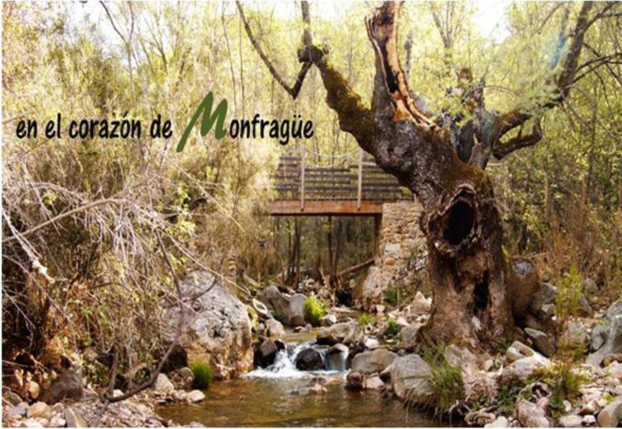 Villa Nido Menas Torrejón el Rubio Esterno foto